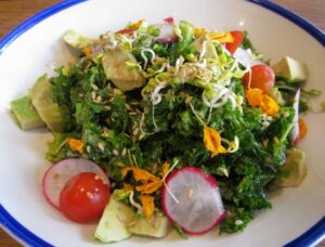 raw food recipes