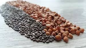 vegetarian-protein-recipes