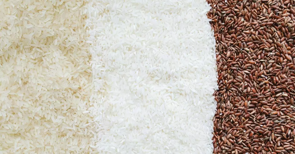 Is there gluten in rice2
